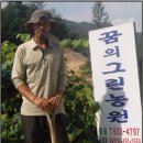 그린비료 이미지