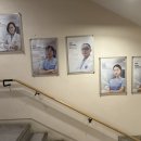 라이브치과기공소 이미지