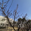 세종청사 9동 이미지