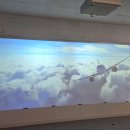 제노스템 이미지