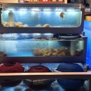 청주내미 이미지