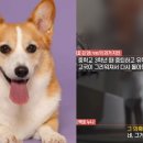 수상한누나네