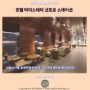 호텔마이스테이 | 호텔 마이스테이 삿포로역 후기 삿포로 추천 숙소