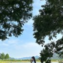 나룻배 | <하동여행> 동정호 나룻배 포토존 솔직후기