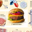 (주)비비에이치씨