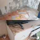 나누리펫 이미지