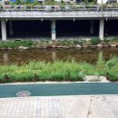 서울서남부농협하나로마트 이미지