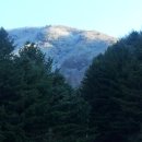 에덴시아 이미지