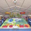 제15회 청송사과축제 네이버블로그