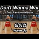 I Don't Wanna Wait Remix - David Guetta & OneRepublic (워밍업) 이미지