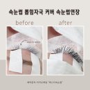 에스더속눈썹 이미지