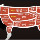 태극한우 이미지