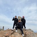 안산제일복싱 이미지