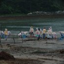 금갑해수욕장 이미지