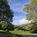 회원동064 이미지