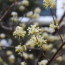 주천초등학교 이미지