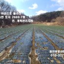 홍성 /홍성역 차량10분 야산둘러진 올계획관리 귀농귀촌용 넓은 토지 평당 10만 2700평 매매 이미지