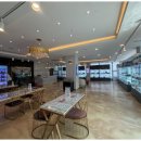 강아지와 고양이 이미지