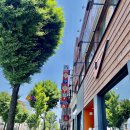 온천당구클럽 이미지