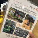 저동농장 이미지