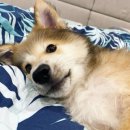 (주)제나 이미지