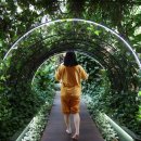 강원헬스클럽 이미지