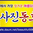 5월24일 군산,부안 花 플레이스 출사 이미지