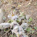 25년.경기미래교육 파주캠퍼스 이미지