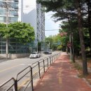 정곡초교 네이버블로그