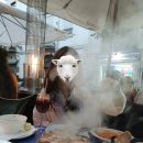 나눔프라자 | [스페인여행] 그라나다 할로윈 사탕나눔하기