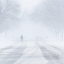 새하얀세상 이미지