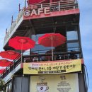 강아지와 산책 | 두물머리 반려견 동반 나들이 후기｜강아지와 걷기 좋은 양평 산책 코스