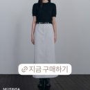 봄 위시 스트레이트 체형 코디 쇼핑몰 모음zip