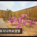 성모요양원 | [인천 요양원/추천/후기/가격] 성모시니어요양원 친절함과 전문성으로 안정된 케어