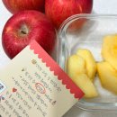 아침농원 | 아침마다 챙겨먹는 보약! 정담아농원 부사사과 먹어본 후기