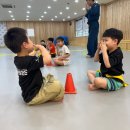 새연태권도 이미지