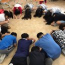 전주효림초등학교 이미지