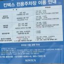 2025 일산 킨텍스 메가주 케이펫페어 후기 (주차, 입장꿀팁)