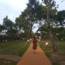 서대구완충녹지(7BL) | 대구 중리체육공원 상중이동 그린웨이 꽃무릇 축제