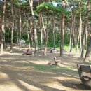 노을빛진산 이미지