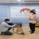 댕댕 하우스 이미지