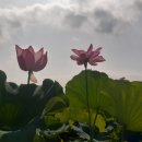 주남펜션민박 이미지