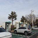 세기종합장식 이미지