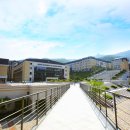 부산외국어대학교 대학원 이미지