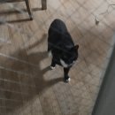구마PC방 이미지