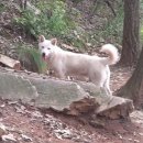 너구리약수터 이미지