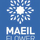 매일 꽃 이미지