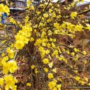 산포마을 이미지