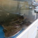 다온아구 이미지