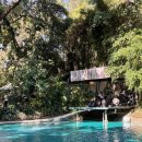 🇹🇭 : Chiang Mai - 4일차,